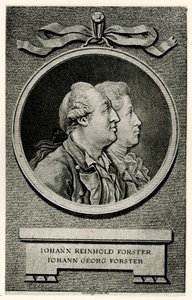 Johann Georg Forster door German School