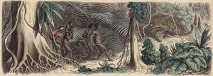 Jungle in Brazilië door German School