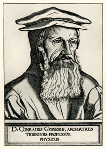 Konrad Gesner door German School