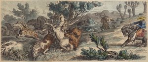 Wilde paarden vangen in New Mexico