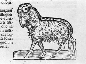 Le Aquarius - in Verhandeling door Johannes Angeli De Magnisconnectionibue annorum revolutionibus ac eorum pefectionibus. Augsburg, Erhard Ratdolt