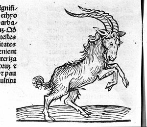 De Steenbok - in Verhandeling door Johannes Angeli De Magnisconnectionibue annorum revolutionibus ac eorum perfectionibus. Augsburg, Erhard Ratdolt door German School