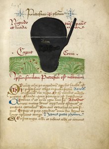 Uit de Alchemistische Verhandelingen, laat 15e eeuw door German School
