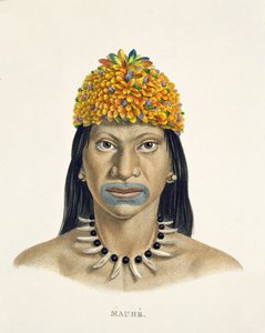 Inheemse man van de Mauhe-stam, met hoofdtooi van kleine blauwe en oranje veren, uit Atlas van een reis in Brazilië door Johann Baptist von Spix (1781-1826) en Karl Friedrich Philipp Martius (1794-1868) door German School