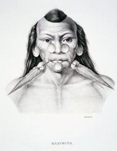 Inheemse man van de Maxuruna-stam, met gezichtsdecoratie, uit Atlas van een reis in Brazilië door Dr. von Spix en Dr. von Martius