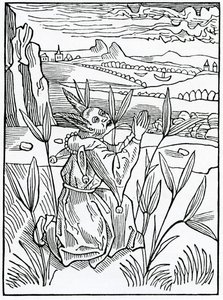 Over nutteloze en ijdele gebeden, geloften en verzoeken, illustratie uit Alexander Barclay