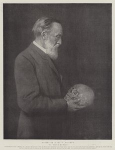 Professor Rudolf Virchow door German School