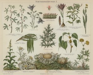 Zelfbeschermende Reacties in Planten