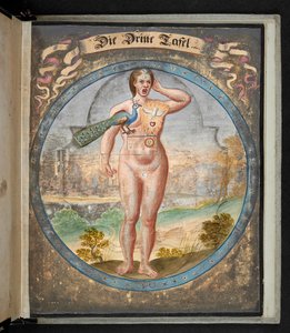 Tabellen die de mens in drie verschillende staten vertegenwoordigen