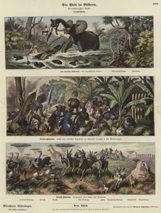 De wereld in beelden: Duits Afrika