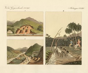De edelsteenmijnen in Brazilië (gekleurde gravure) door German School