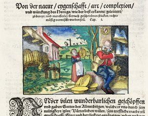 De genezende en therapeutische toepassingen van honing in de geneeskunde, illustratie uit een Duits verhandeling over medicijnen, gepubliceerd in Straatsburg in 1573