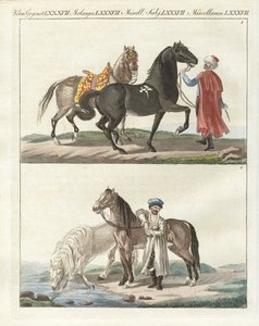 Het paard met zijn verschillende soorten door German School