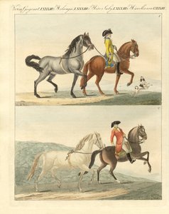 Het paard met zijn verschillende soorten door German School