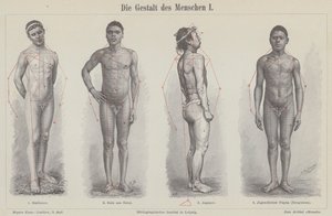 Het menselijk figuur door German School