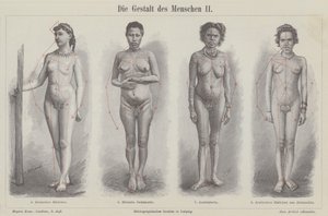 Het menselijk figuur door German School