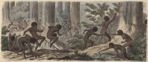 Twee stammen van Australische Aboriginals vechten