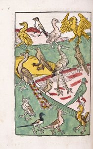 Verschillende vogelsoorten in een landschap, 1499