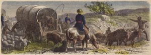 Wagentrein in Zuid-Afrika
