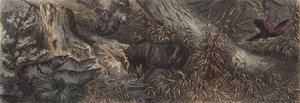 Wildlife van Noord-Rusland