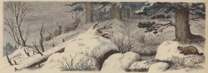 Winterlandschap in Canada (gekleurde gravure)