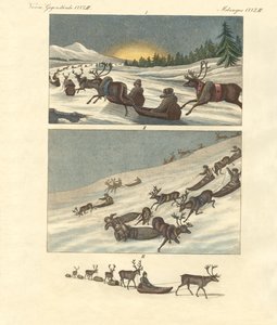 Winterreizen in Lapland
