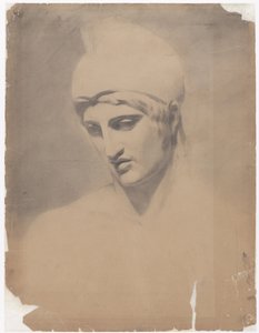 Academiestudie met gehelmde kop