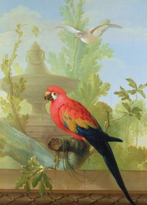 Een ara en een duif in een sierlijke tuin, 1772 door Gerrit van den Heuvel