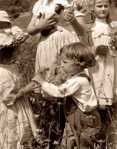 Gelukkige dagen 1902