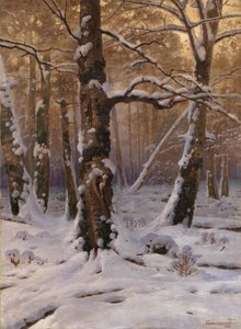 Winterochtend