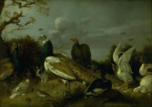 Pauwen, Eenden en andere Dieren