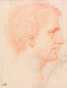 Hoofd van een man met stoppels, naar rechts kijkend door Giles Hussey