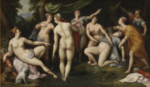 Diana ontdekt Callisto