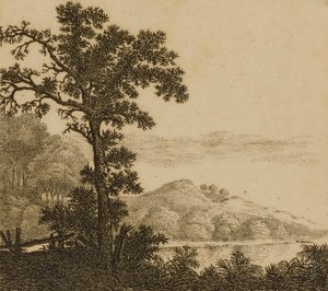 Landschap