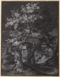 Bos Scène