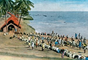 Gemeenschappelijke dorpsmaaltijd, Andamanen en Nicobaren, Indische Oceaan, ca. 1890
