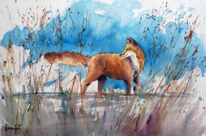 Alert Fox in Reeds door Giorgio Gosti