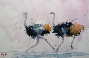 De sierlijke struisvogelpas door Giorgio Gosti