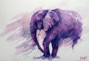 Majestueuze paarse olifant