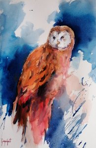 Majestueuze uil in aquarel door Giorgio Gosti