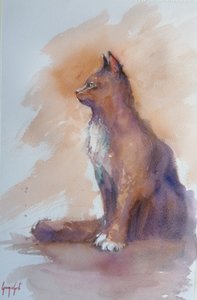 Profiel van de oplettende kat door Giorgio Gosti
