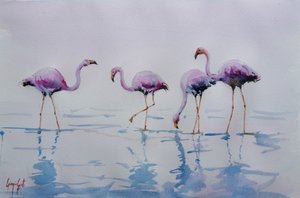 Roze flamingo’s waden door Giorgio Gosti