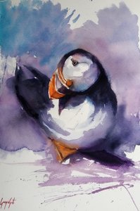 Portret van een paarse papegaaiduiker door Giorgio Gosti