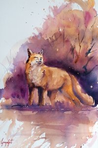 De serene bosvos door Giorgio Gosti