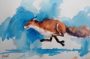 Swift Fox Sprint door Giorgio Gosti
