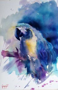 Levendige blauwe ara