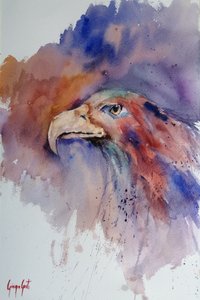 Levendig portret van een adelaar door Giorgio Gosti