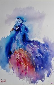 Levendige aquarelpauw door Giorgio Gosti