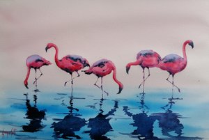 Wadende roze flamingo’s door Giorgio Gosti