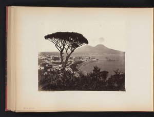 Gezicht op Napels, Italië, met een pijnboom op de voorgrond door Giorgio Sommer